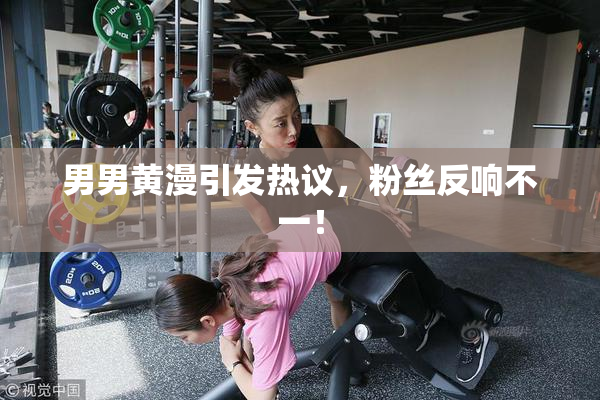 男男黄漫引发热议，粉丝反响不一！