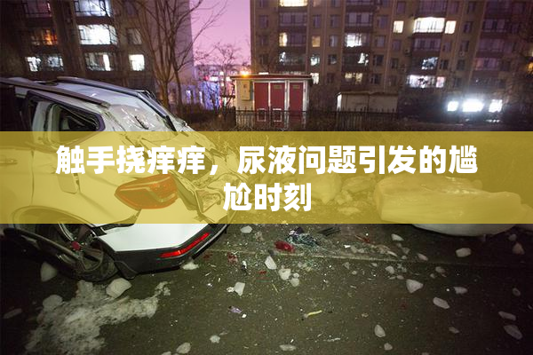 触手挠痒痒，尿液问题引发的尴尬时刻