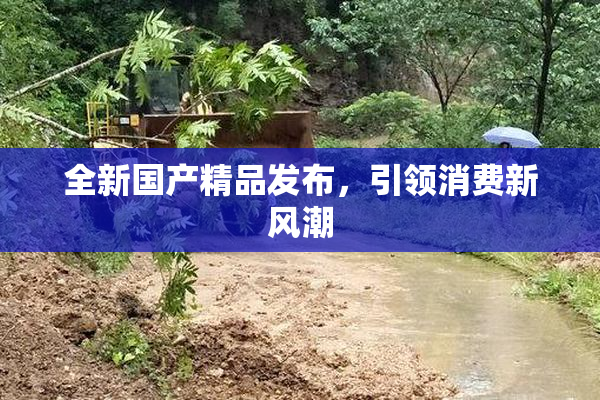 全新国产精品发布，引领消费新风潮