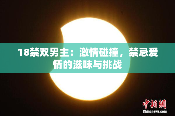18禁双男主：激情碰撞，禁忌爱情的滋味与挑战