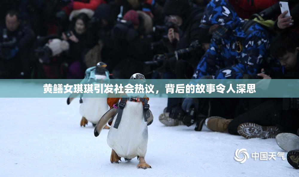 黄鳝女琪琪引发社会热议，背后的故事令人深思