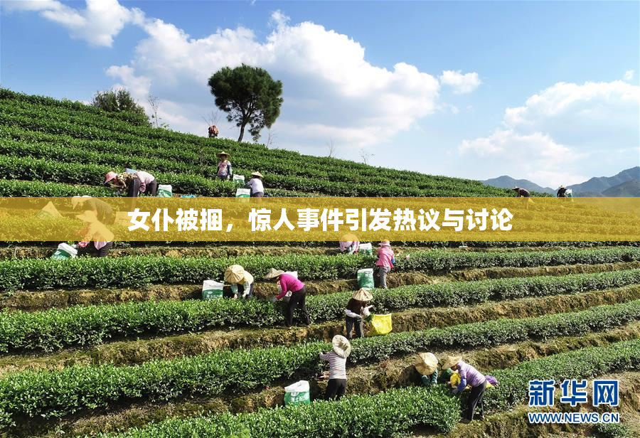 女仆被捆，惊人事件引发热议与讨论