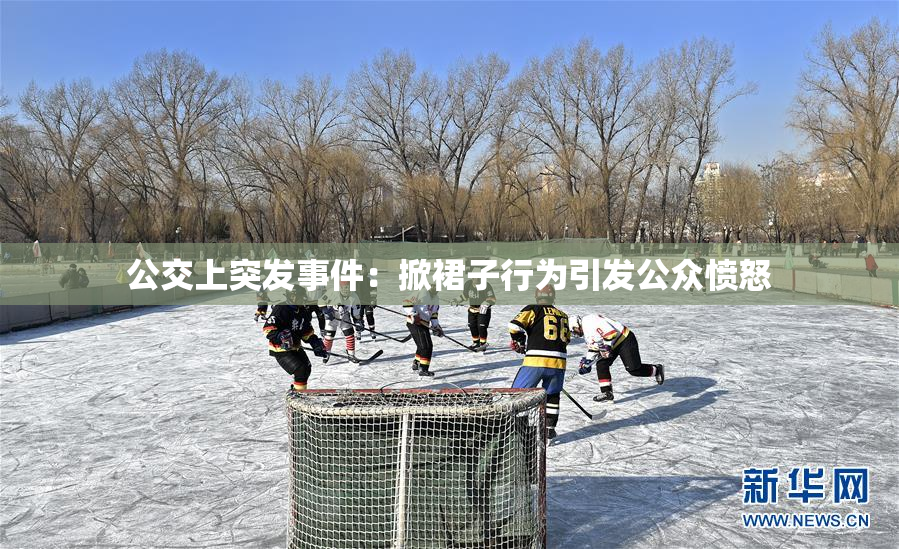 公交上突发事件：掀裙子行为引发公众愤怒