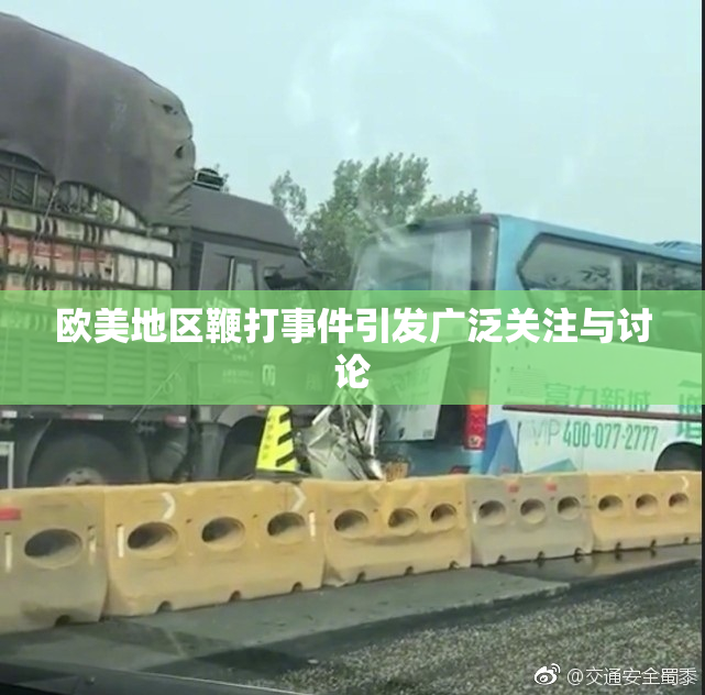 欧美地区鞭打事件引发广泛关注与讨论