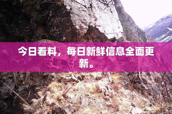 今日看料，每日新鲜信息全面更新。