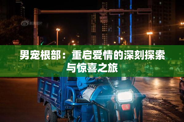 男宠根部：重启爱情的深刻探索与惊喜之旅
