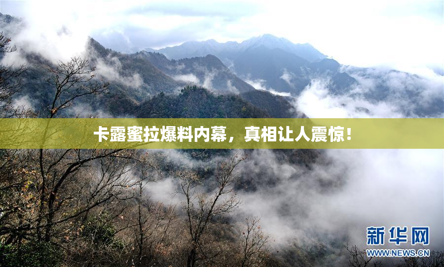 卡露蜜拉爆料内幕，真相让人震惊！