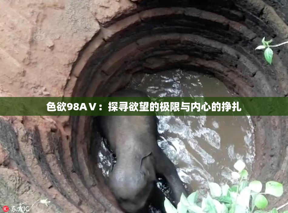 色欲98AⅤ：探寻欲望的极限与内心的挣扎