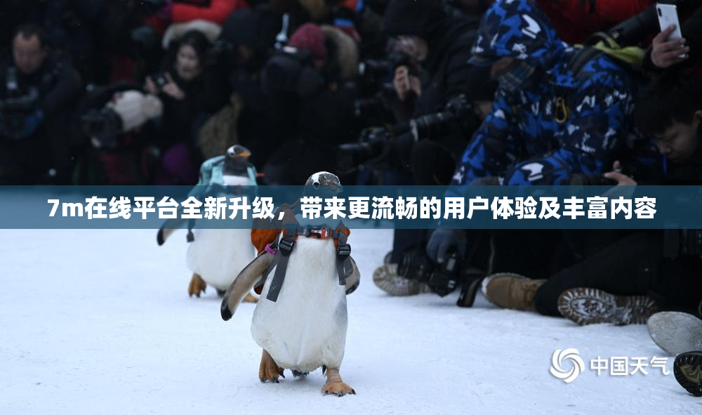 7m在线平台全新升级，带来更流畅的用户体验及丰富内容