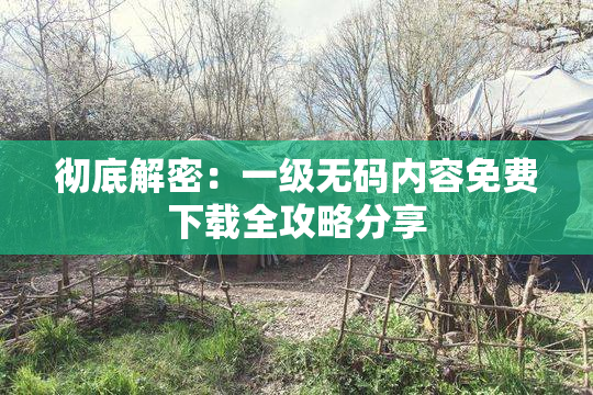 彻底解密：一级无码内容免费下载全攻略分享