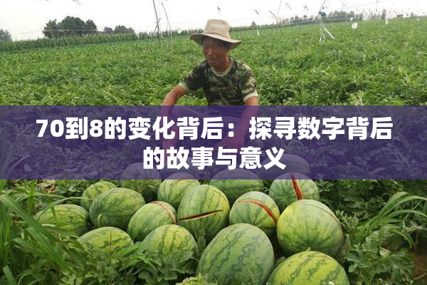 70到8的变化背后：探寻数字背后的故事与意义