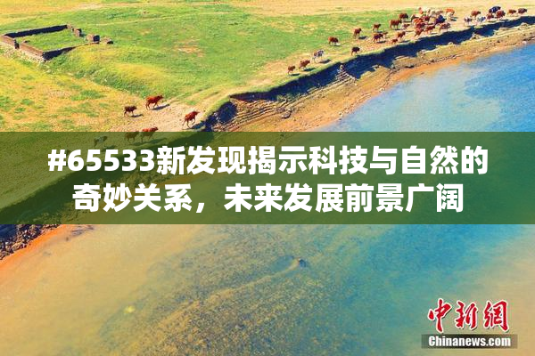 #65533新发现揭示科技与自然的奇妙关系，未来发展前景广阔