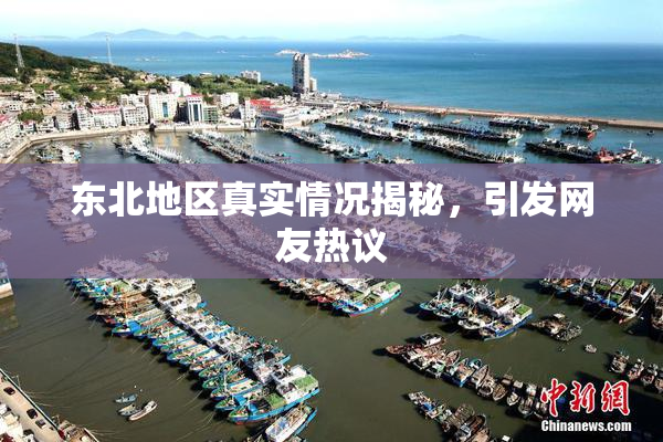 东北地区真实情况揭秘，引发网友热议
