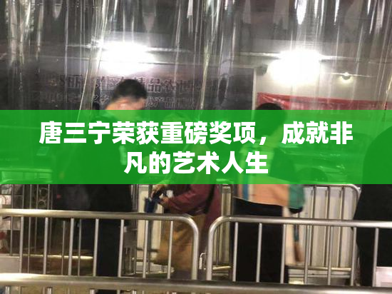唐三宁荣获重磅奖项，成就非凡的艺术人生