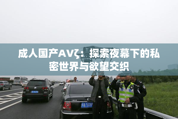 成人国产AVζ：探索夜幕下的私密世界与欲望交织