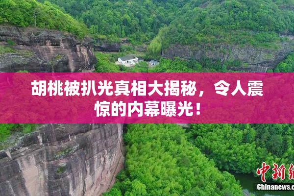 胡桃被扒光真相大揭秘，令人震惊的内幕曝光！