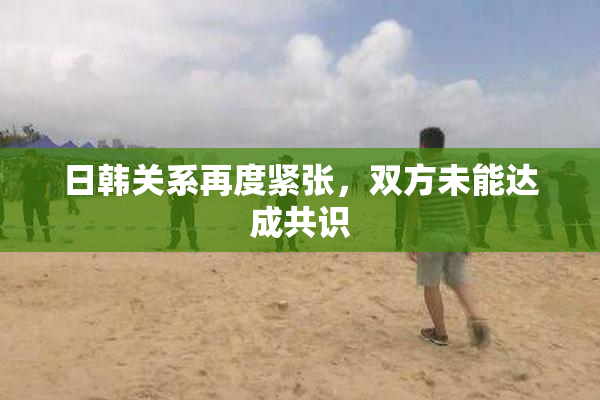 日韩关系再度紧张，双方未能达成共识