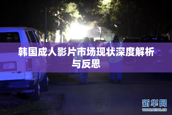 韩国成人影片市场现状深度解析与反思