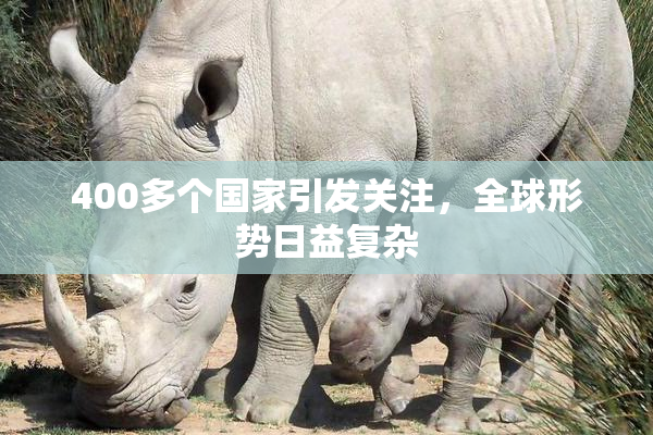 400多个国家引发关注，全球形势日益复杂
