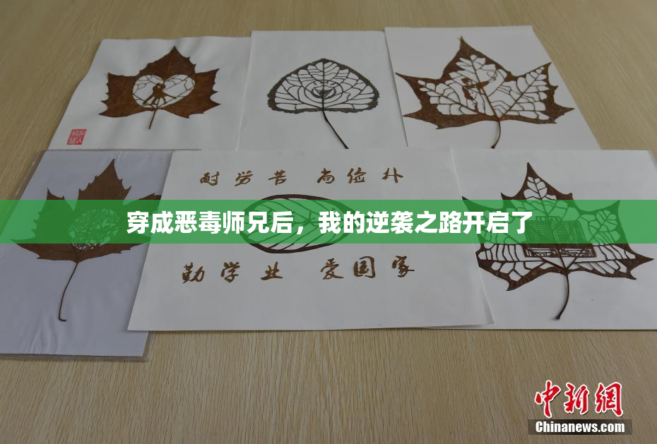穿成恶毒师兄后，我的逆袭之路开启了