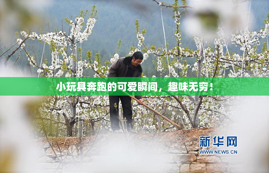 小玩具奔跑的可爱瞬间，趣味无穷！