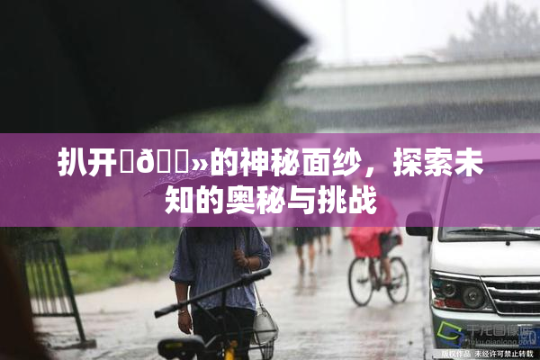 扒开‌🐻的神秘面纱，探索未知的奥秘与挑战