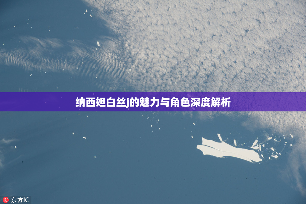 纳西妲白丝j的魅力与角色深度解析