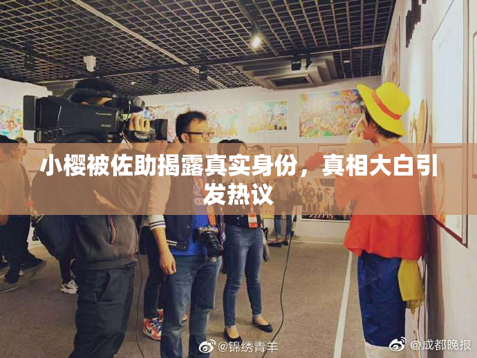 小樱被佐助揭露真实身份，真相大白引发热议