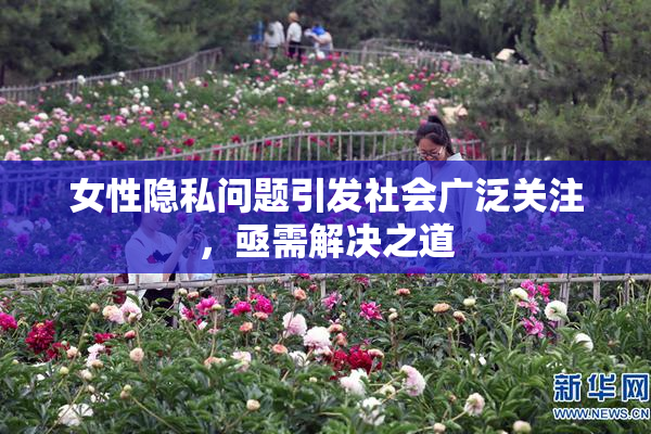 女性隐私问题引发社会广泛关注，亟需解决之道