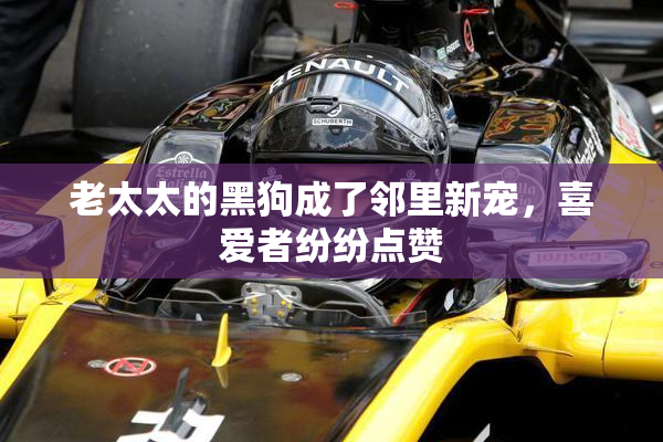 老太太的黑狗成了邻里新宠，喜爱者纷纷点赞