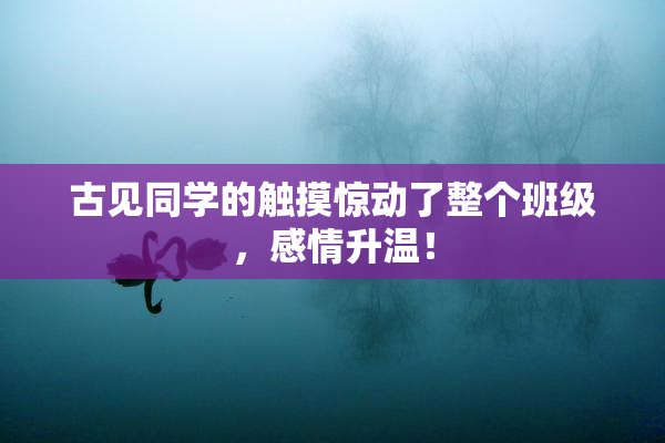 古见同学的触摸惊动了整个班级，感情升温！