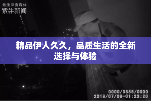 精品伊人久久，品质生活的全新选择与体验