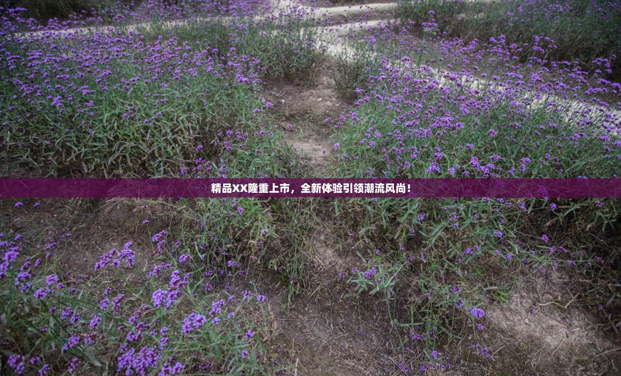 精品XX隆重上市，全新体验引领潮流风尚！