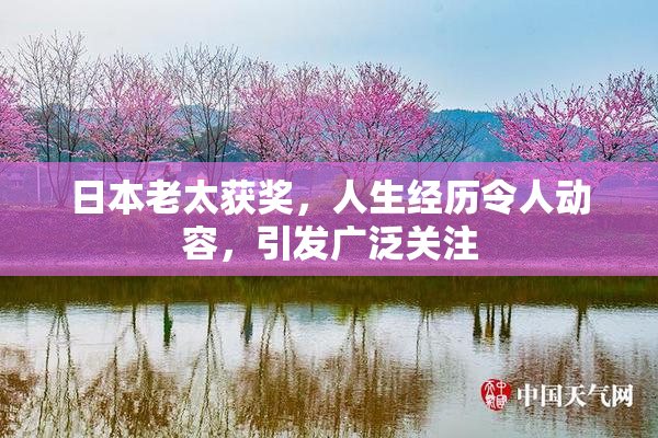 日本老太获奖，人生经历令人动容，引发广泛关注