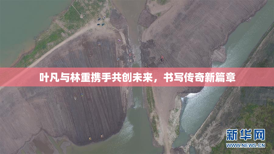 叶凡与林重携手共创未来，书写传奇新篇章