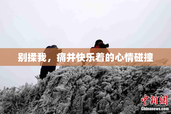 别揉我，痛并快乐着的心情碰撞