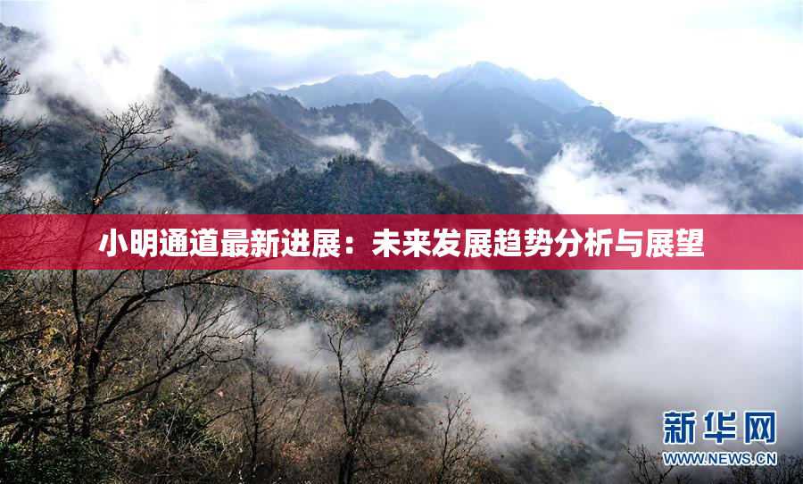 小明通道最新进展：未来发展趋势分析与展望