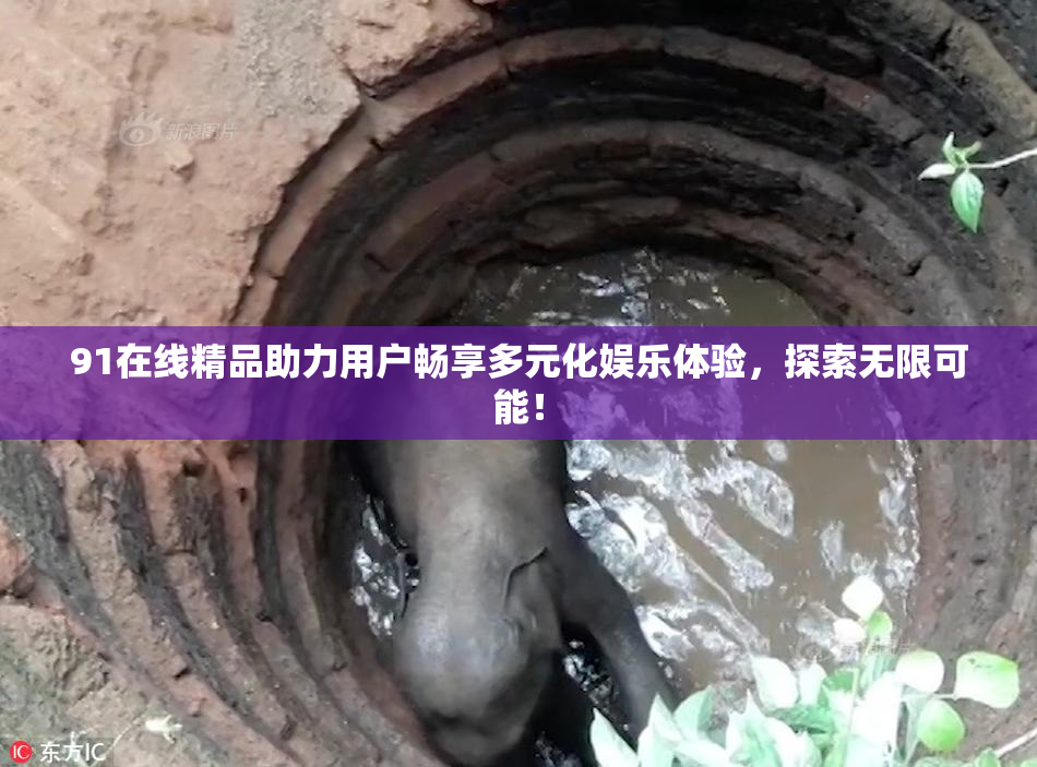 91在线精品助力用户畅享多元化娱乐体验，探索无限可能！