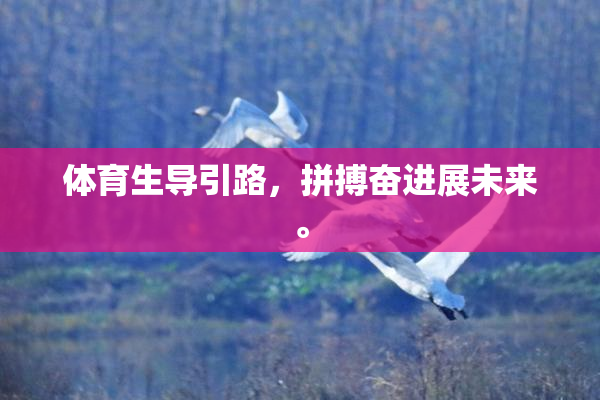 体育生导引路，拼搏奋进展未来。