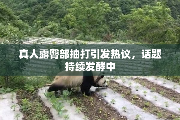 真人露臀部抽打引发热议，话题持续发酵中