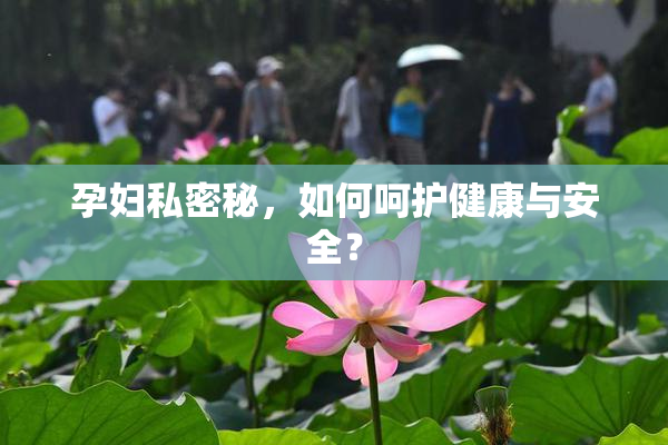 孕妇私密秘，如何呵护健康与安全？
