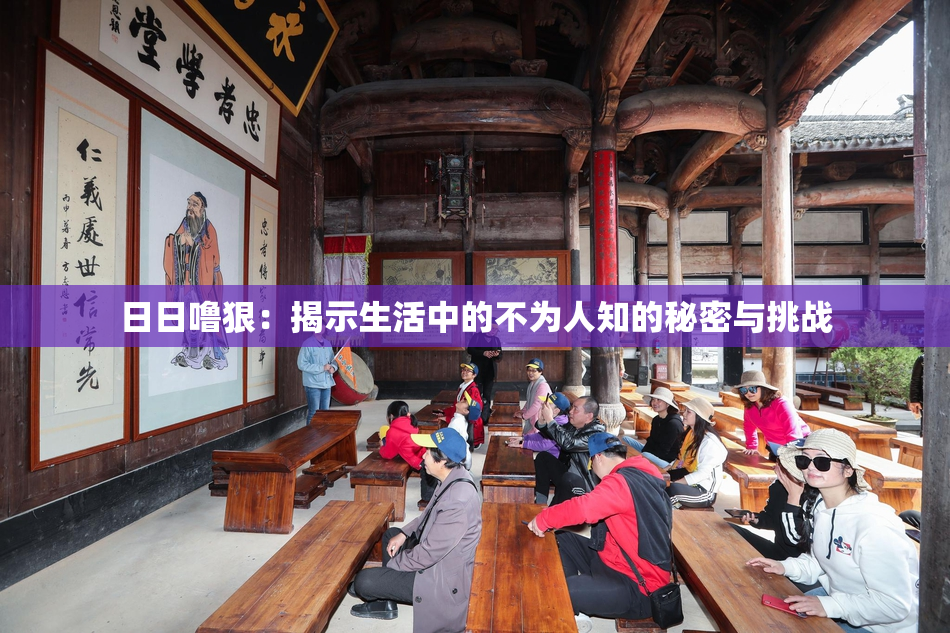 日日噜狠：揭示生活中的不为人知的秘密与挑战