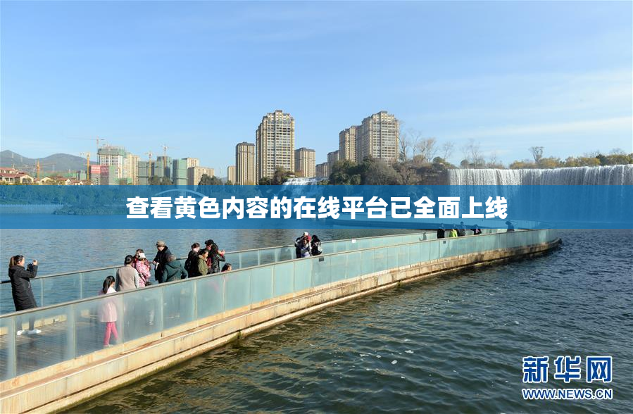 查看黄色内容的在线平台已全面上线