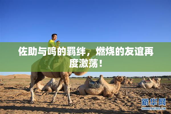 佐助与鸣的羁绊，燃烧的友谊再度激荡！