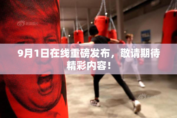 9月1日在线重磅发布，敬请期待精彩内容！