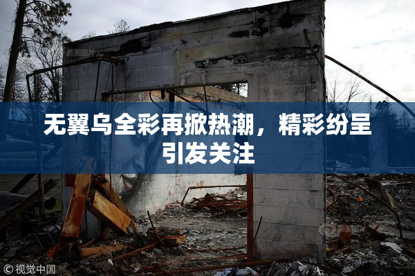 无翼乌全彩再掀热潮，精彩纷呈引发关注
