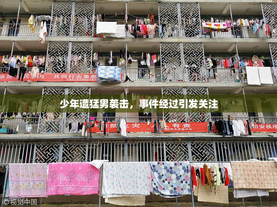 少年遭猛男袭击，事件经过引发关注