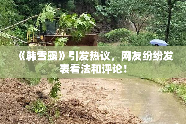 《韩雪露》引发热议，网友纷纷发表看法和评论！