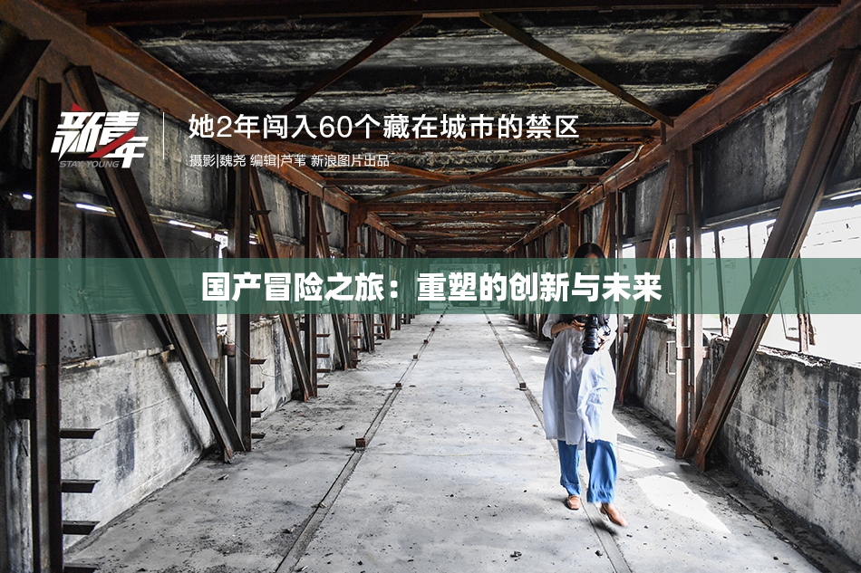 国产冒险之旅：重塑的创新与未来