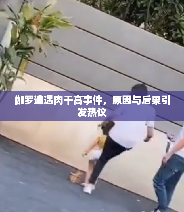 伽罗遭遇肉干高事件，原因与后果引发热议